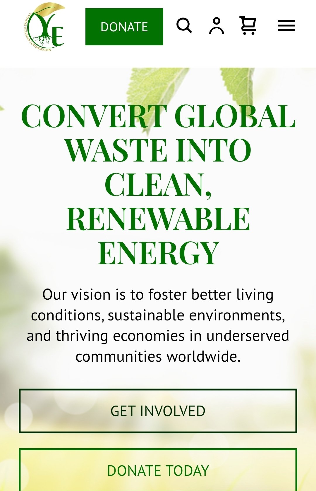 Preview of the YEF.Global website homepage